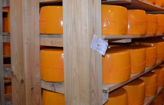 Вохомский сырный завод увеличит объёмы производства на треть