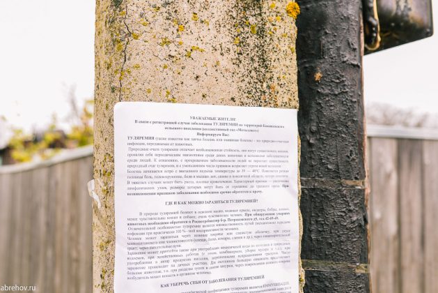 Мусорный ветер. Как спасти Кострому от «мусорных» проблем?