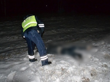Пешеход погиб под колесами автомобиля. Водитель скрылся с места ДТП Пешеход погиб под колесами автомобиля. Водитель скрылся с места ДТП