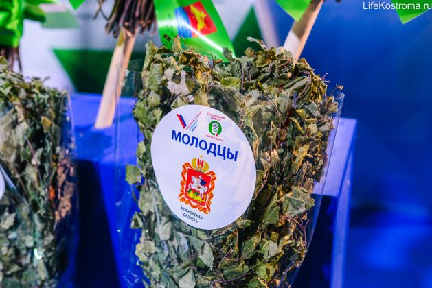 Костромские активисты ОНФ приняли участие в «Форуме Действий»