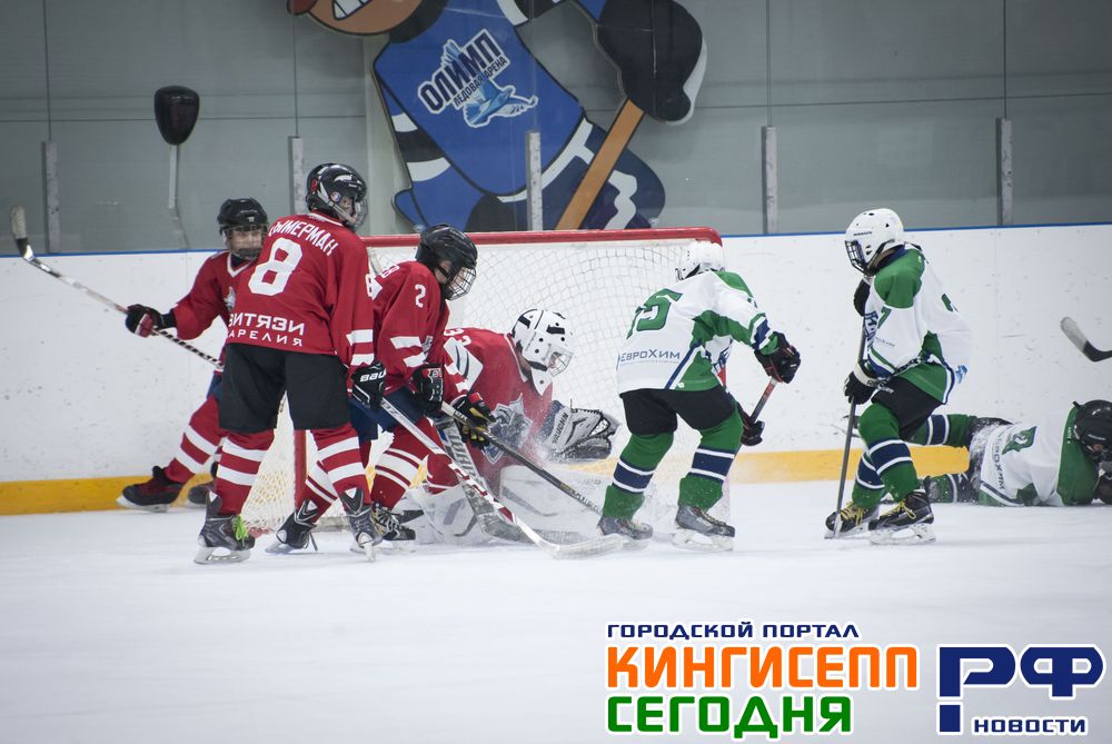 Первенство Кингисеппского района по хоккею среди любителей. Фото Первенство Кингисеппского района по хоккею среди любителей. Фото