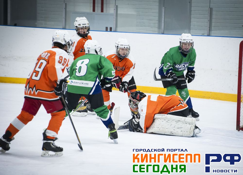 Первенство Кингисеппского района по хоккею среди любителей. Фото Первенство Кингисеппского района по хоккею среди любителей. Фото
