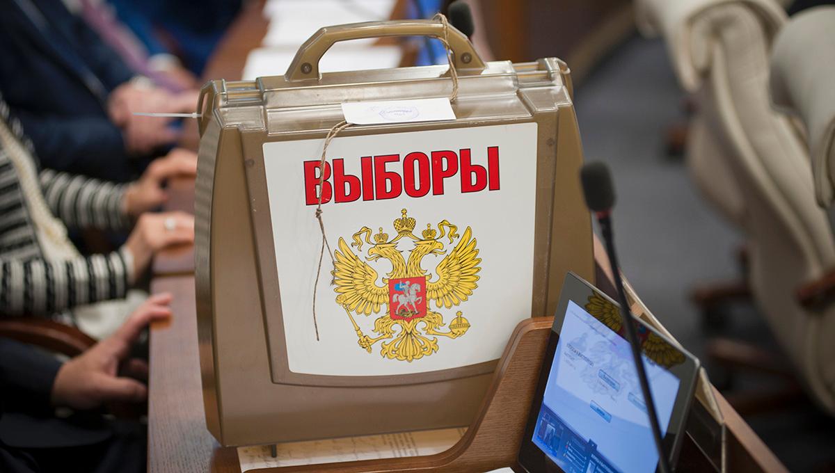 выборы