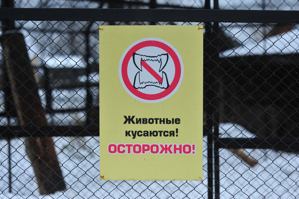 За право построить вольер для северных оленей поборются две компании