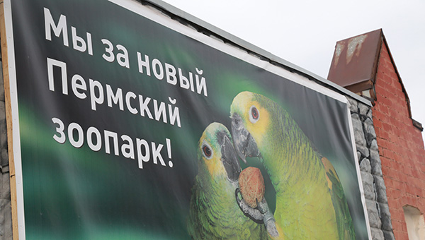 Отставание от графика строительства зоопарка в Перми сократилось на 50 дней